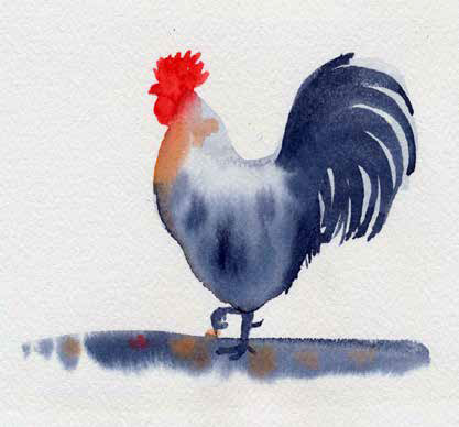 Watercolor Chicken